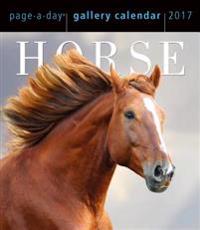Horse Page-A-Day Gallery Calendar 2017