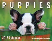 Puppies 2017 Mini Day-To-Day Calendar