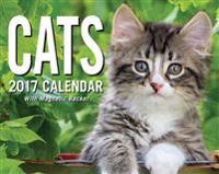 Cats 2017 Mini Day-To-Day Calendar