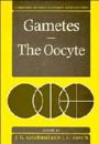 Gametes - The Oocyte