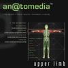 Anatomedia: Upper Limb CD