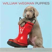 William Wegman Puppies 2017 Calendar