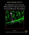 The Zebrafish: Cellular and Developmental Biology, Part A Cellular Biology
