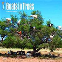 Goats in Trees 2017 Square