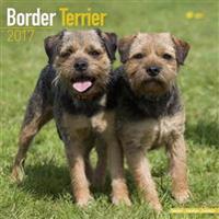 Border Terrier Calendar 2017