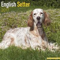 English Setter Calendar 2017