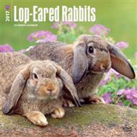 Lop-Eared Rabbits 2017 Square