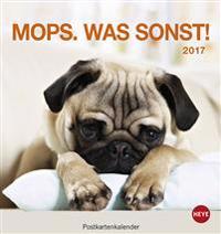 Mops 2017 Postkartenkalender