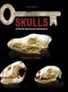 A Key to the Skulls of North American Mammals
