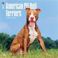 American Pit Bull Terriers 2017 Square