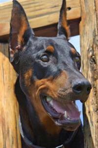 The Doberman Pinscher Dog Journal: 150 Page Lined Notebook/Diary