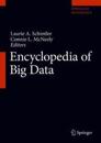 Encyclopedia of Big Data