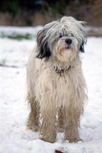 The Tibetan Terrier Dog Journal: 150 Page Lined Notebook/Diary