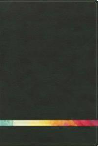 Rvr 1960 Biblia de Estudio Arco Iris, Verde Profundo/Multi Simil Piel Con Indice