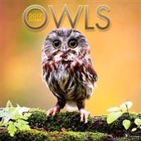 Cal 2017 Owls