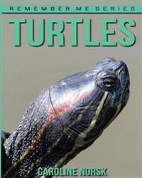Turtles: Amazing Photos & Fun Facts Book about Turtles for Kids