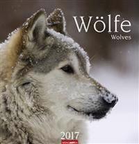 Wölfe / Wolves 2017
