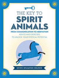 The Key to Spirit Animals