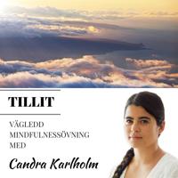Mindfulness Tillit