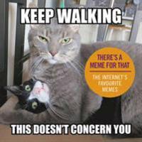 Keep Walking, This Doesn't Concern You: The Internet's Favourite Memes