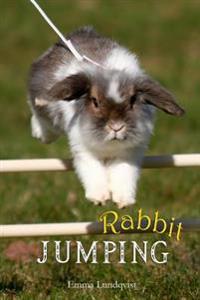 Rabbit Jumping: How to Teach Your Rabbit to Jump