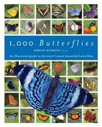 1,000 Butterflies