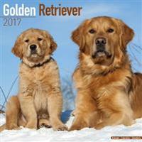 Golden Retriever Calendar 2017