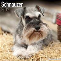 Schnauzer Calendar 2017