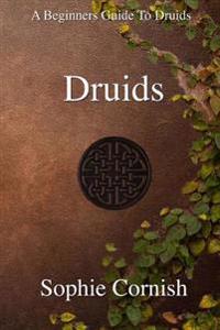 Druids: A Beginners Guide to Druids