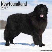 Newfoundland Calendar 2017