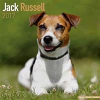 Jack Russell Calendar 2017
