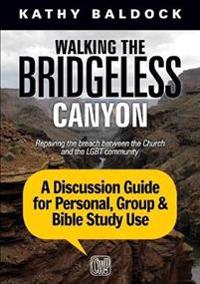 Walking the Bridgeless Canyon: A Discussion Guide for Personal, Group & Bible Study Use: Repairing the Breach Between the Church and the Lgbt Communi