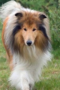 A Walking Rough Collie, for the Love of Dogs: Blank 150 Page Lined Journal for Your Thoughts, Ideas, and Inspiration