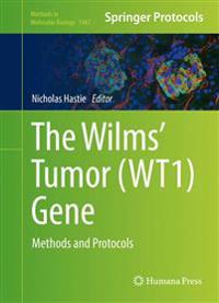 The Wilm's Tumor Wt1 Gene