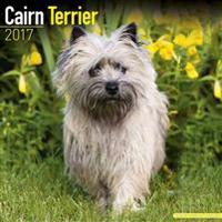 Cairn Terrier Calendar 2017