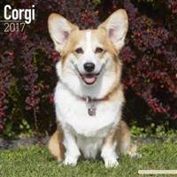 Corgi Calendar 2017