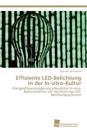Effiziente LED-Belichtung in der In-vitro-Kultur