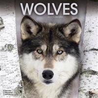 Wolves Calendar 2017