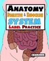 Anatomy Digestive & Endocrine System Label Practice