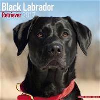 Black Labrador Retriever Calendar 2017