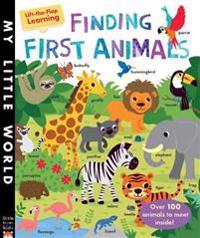 Finding First Animals