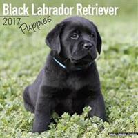 Black Labrador Retriever Puppies Calendar 2017