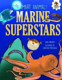 Smart Animals - Marine Superstars