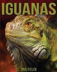 Iguanas: Children Book of Fun Facts & Amazing Photos on Animals in Nature - A Wonderful Iguanas Book for Kids Aged 3-7