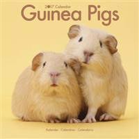Guinea Pigs Calendar 2017