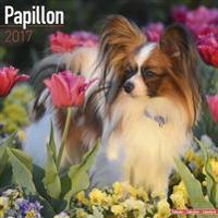 Papillon Calendar 2017