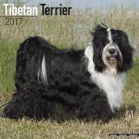 Tibetan Terrier Calendar 2017