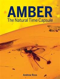 Amber: The Natural Time Capsule