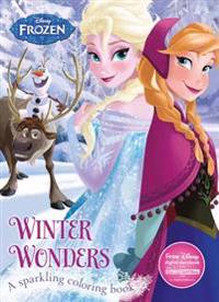 Disney Frozen Winter Wonders