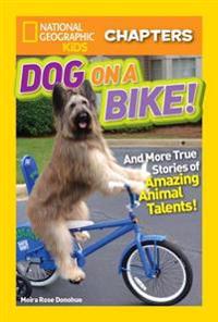 National Geographic Kids Chapters: Dog on a Bike: And More True Stories of Amazing Animal Talents!